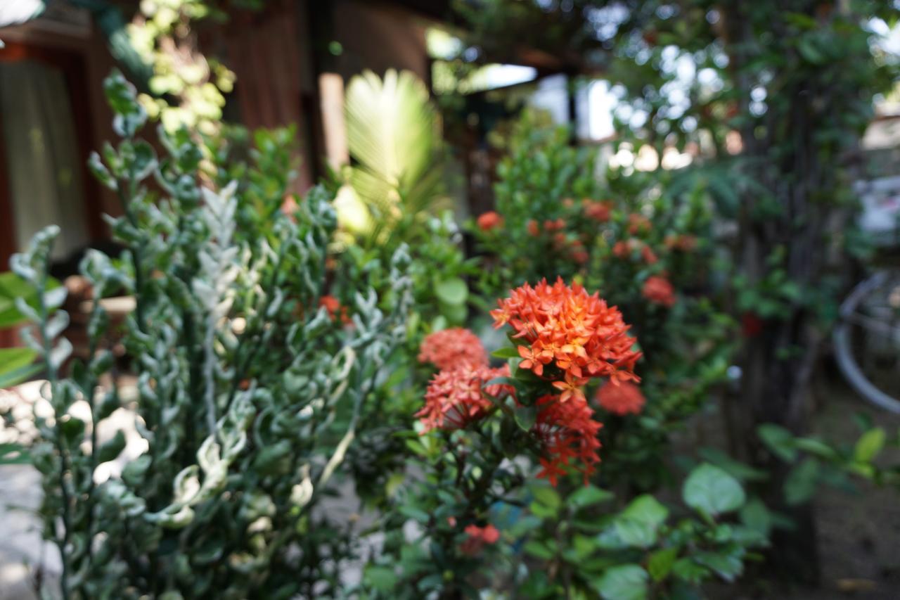 Salon De Nomad Gili T. Bed & Breakfast Gili Trawangan Bagian luar foto